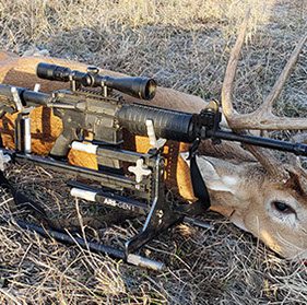 Whitetail Buck and Rifle